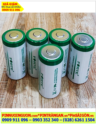 FORTE ER34615, Pin nuôi nguồn PLC FORTE ER34615 lithium Li-SOCl2 3.6v 19000mAh chính hãng